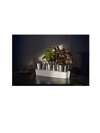 WMF | Gourmet Indoor Kräutergarten Set 3-tlg Cromargan / Weiss | 